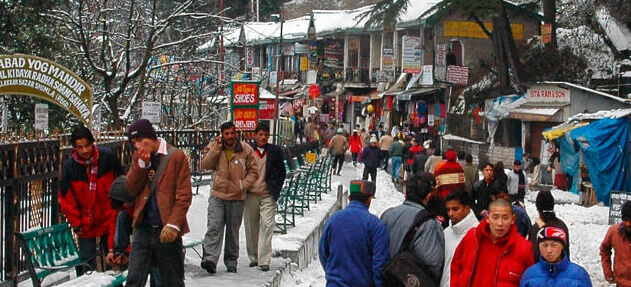 tour packages for shimla